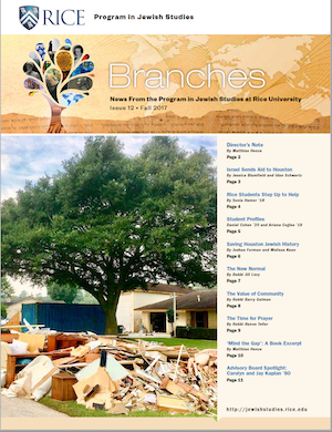 Branches 12 Cover